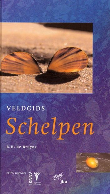 Veldgids Schelpen [Field Guide to Shells]