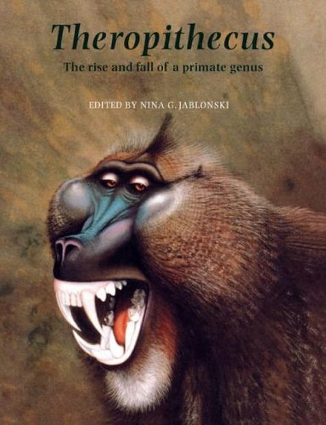 Theropithecus: The Rise and Fall of a Primate Genus