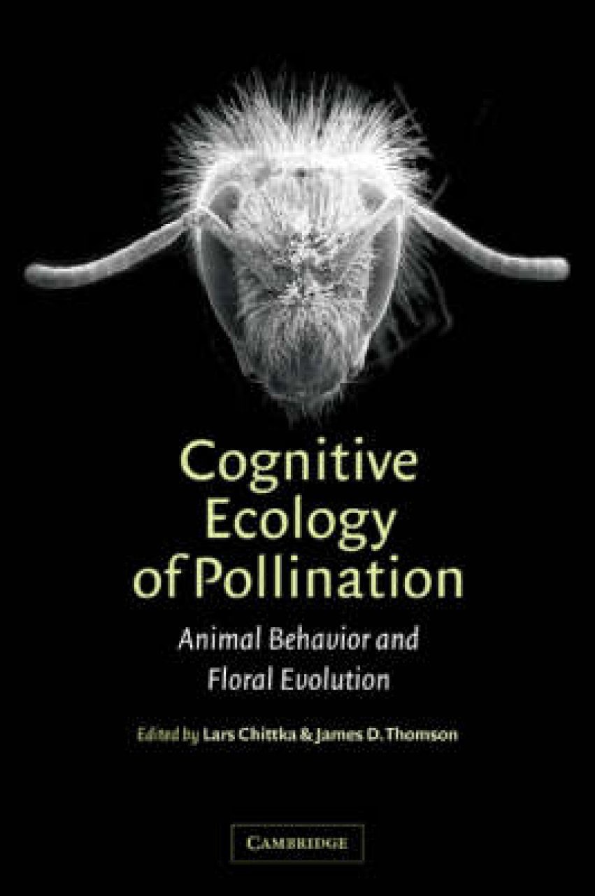 Cognitive Ecology Of Pollination: Animal Behaviour And Floral Evolution ...