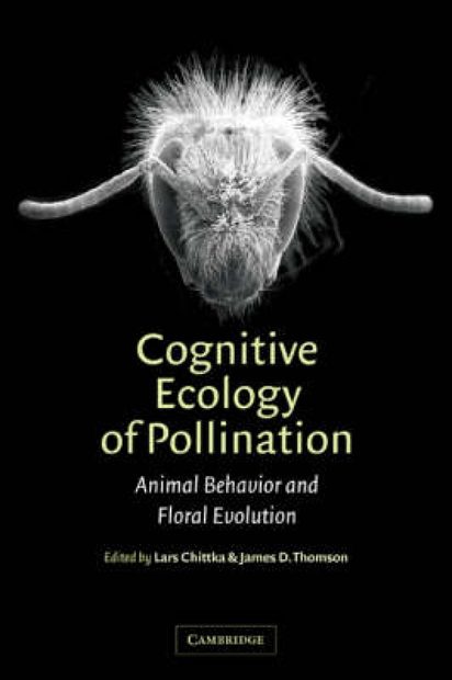 Cognitive Ecology of Pollination