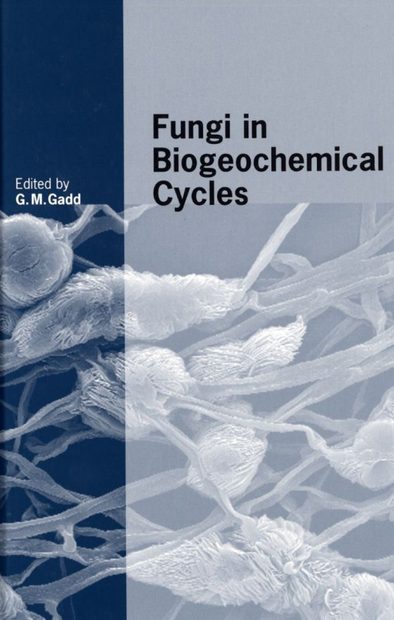 Fungi in Biogeochemical Cycles