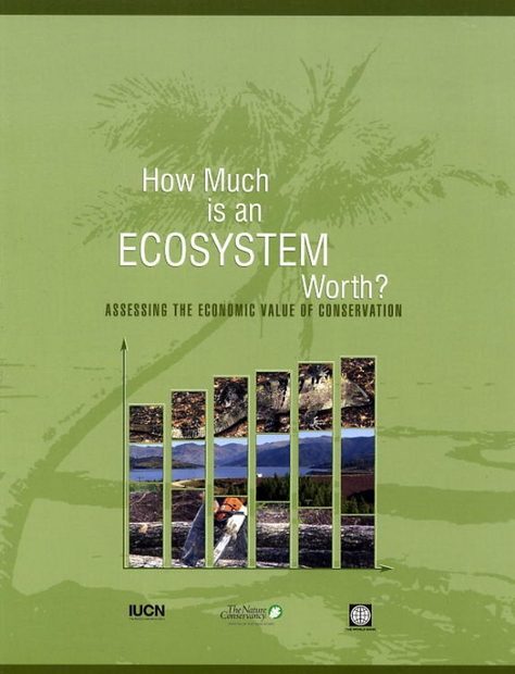 How Much is An Ecosystem Worth?