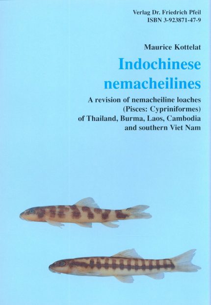 Indochinese Nemacheilines