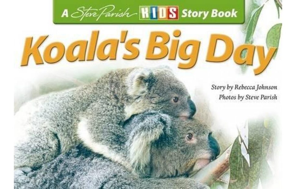 Koala's Big Day
