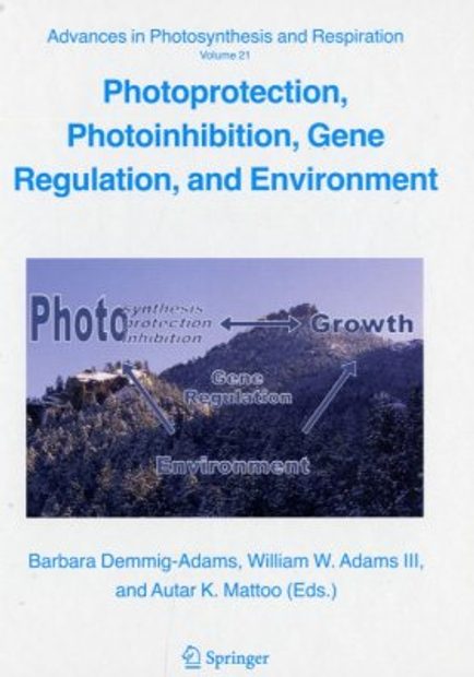 Photoprotection, Photoinhibition, Gene Regulation, and Environment