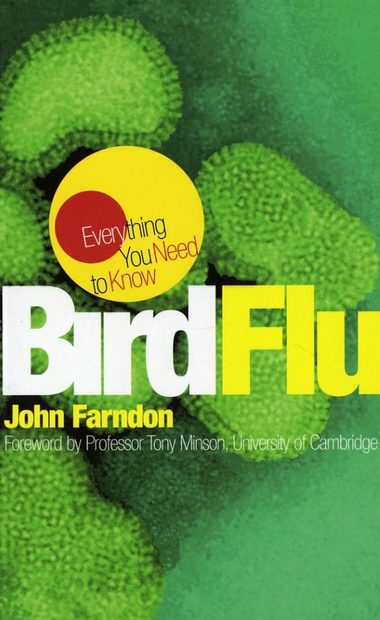 Bird Flu: Everything You Need to Know