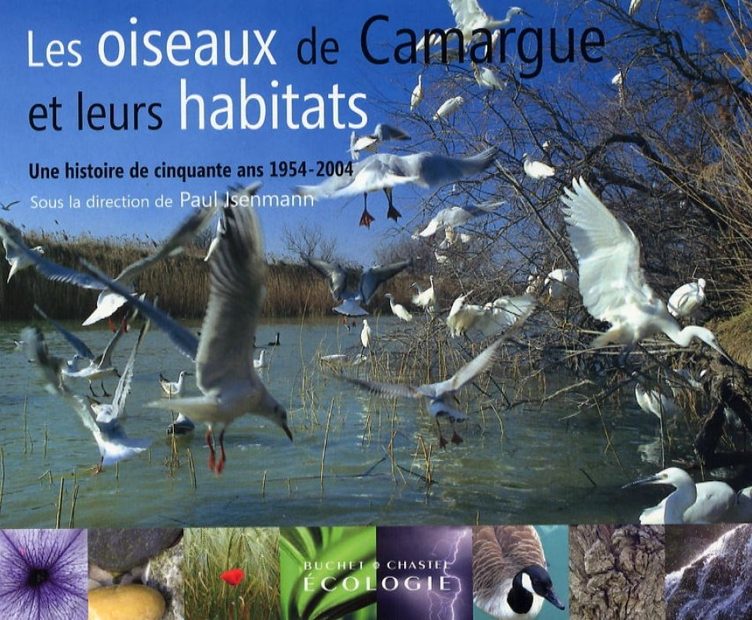 Les Oiseaux de Camargue et Leurs Habitats
