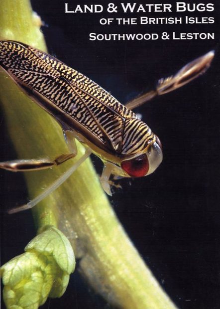 Land and Water Bugs of the British Isles