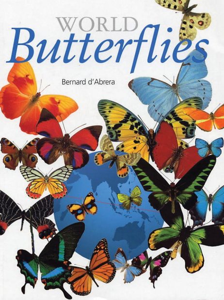 World Butterflies