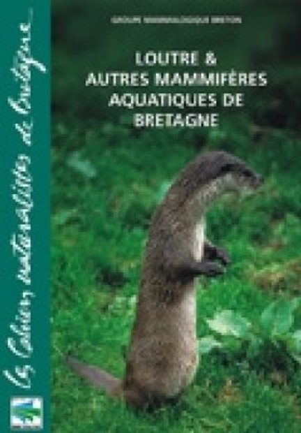 Loutre et autres Mammifères Aquatiques de Bretagne