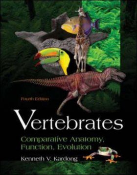 Vertebrates: Comparative Anatomy, Function, Evolution | NHBS Academic &  Professional Books