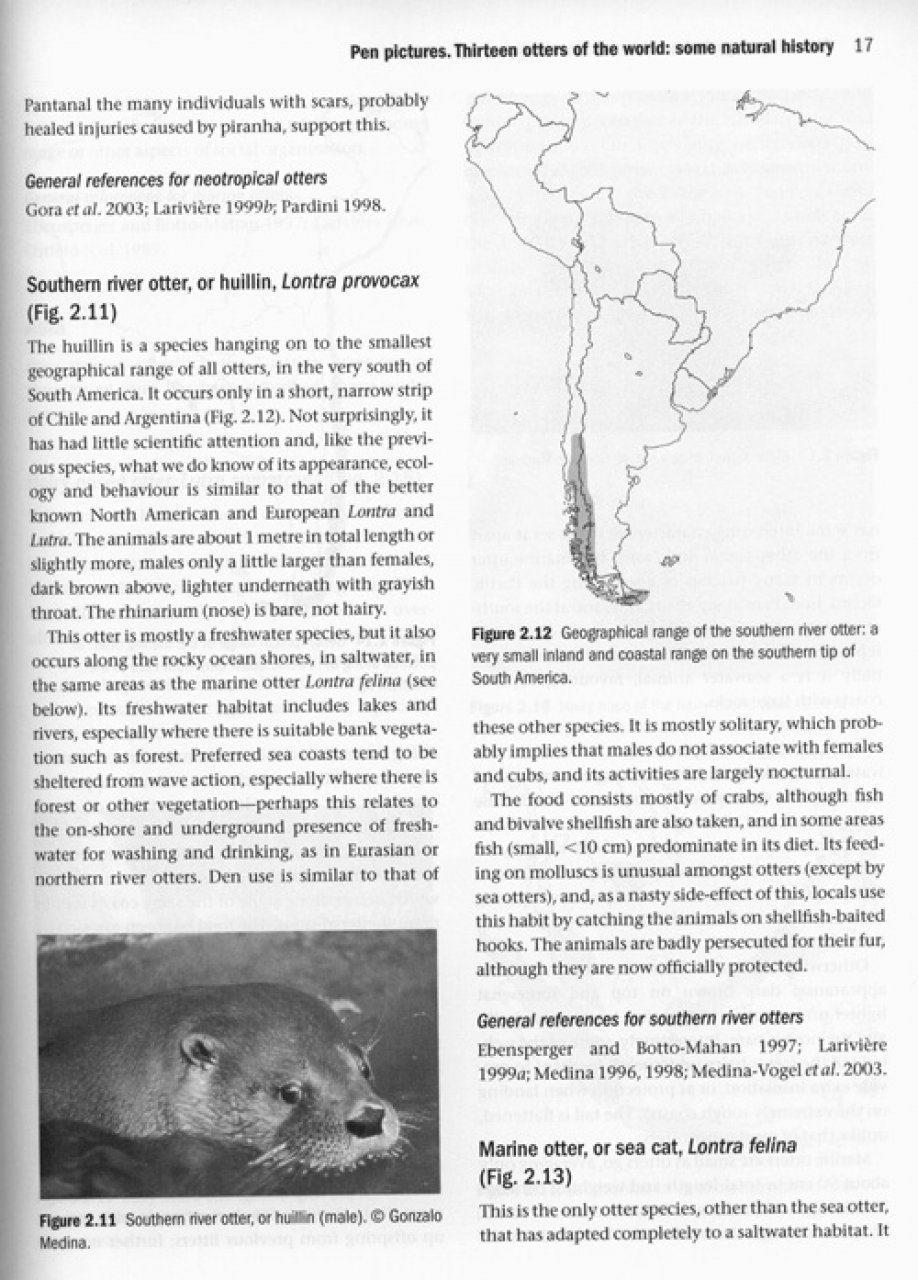 Otters Ecology Behaviour And Conservation Hans Kruuk