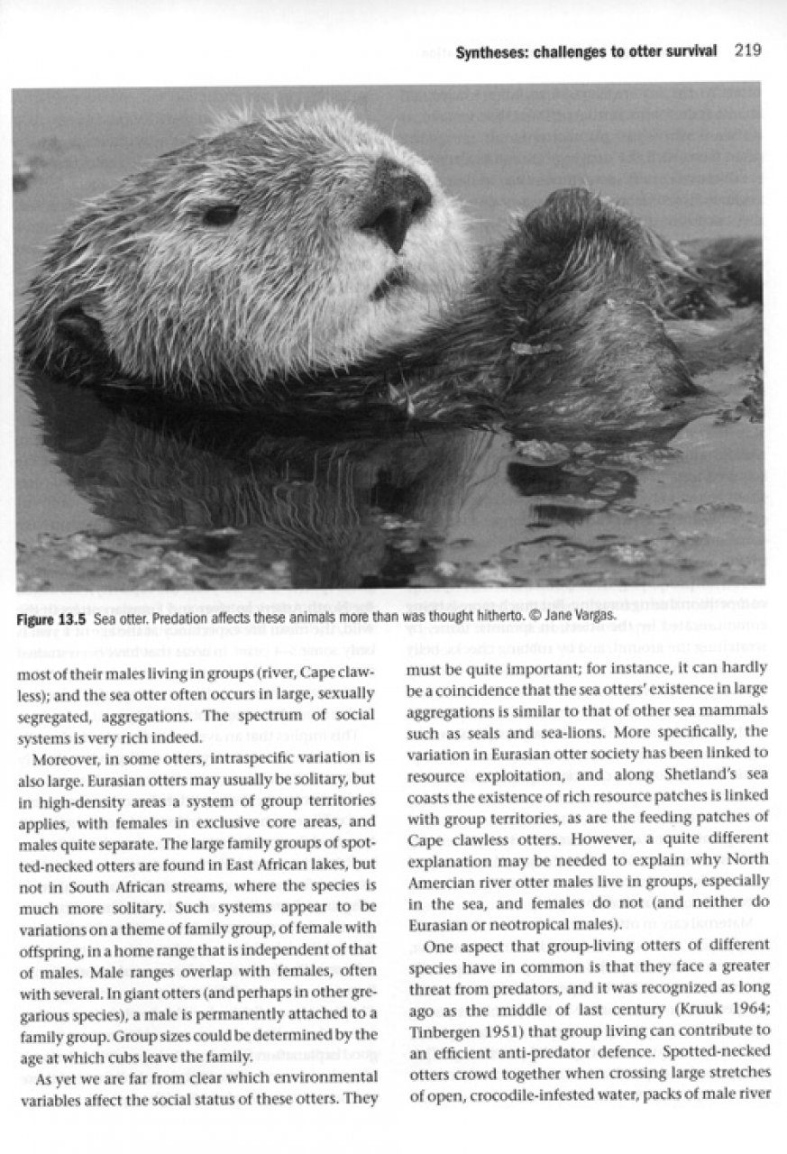 Otters Ecology Behaviour And Conservation Hans Kruuk