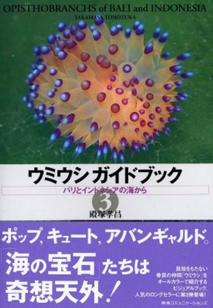 Opisthobranchs of Bali and Indonesia [Japanese]