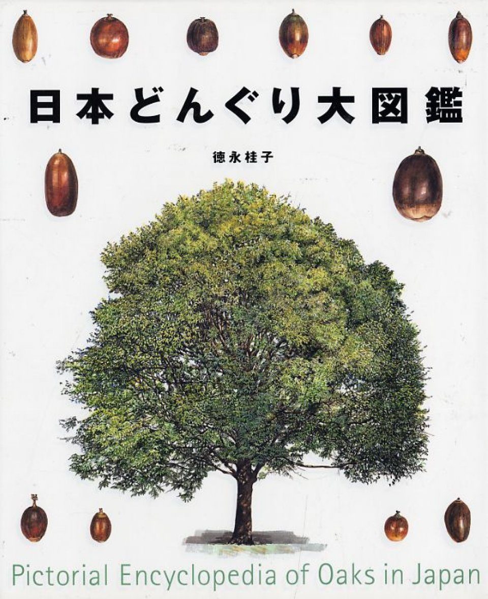 Pictorial Encyclopedia of Oaks in Japan [Japanese] | NHBS