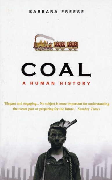 Coal: A Human History