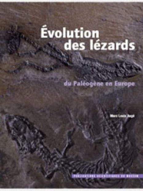 Evolution des Lézards du Paléogène en Europe [Evolution of Paleogene Lizards in Europe]