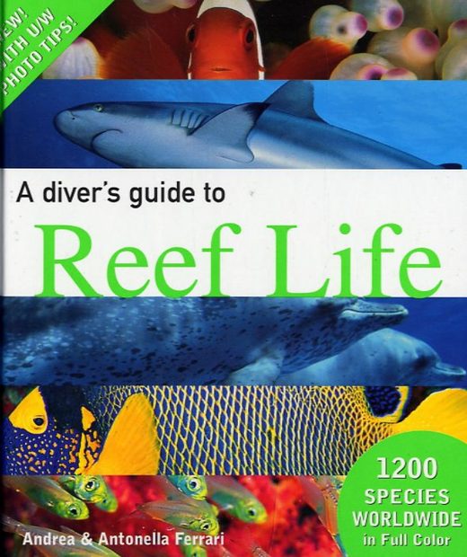 A Diver's Guide to Reef Life