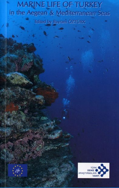 Marine Life of Turkey in the Aegean & Mediterranean Seas
