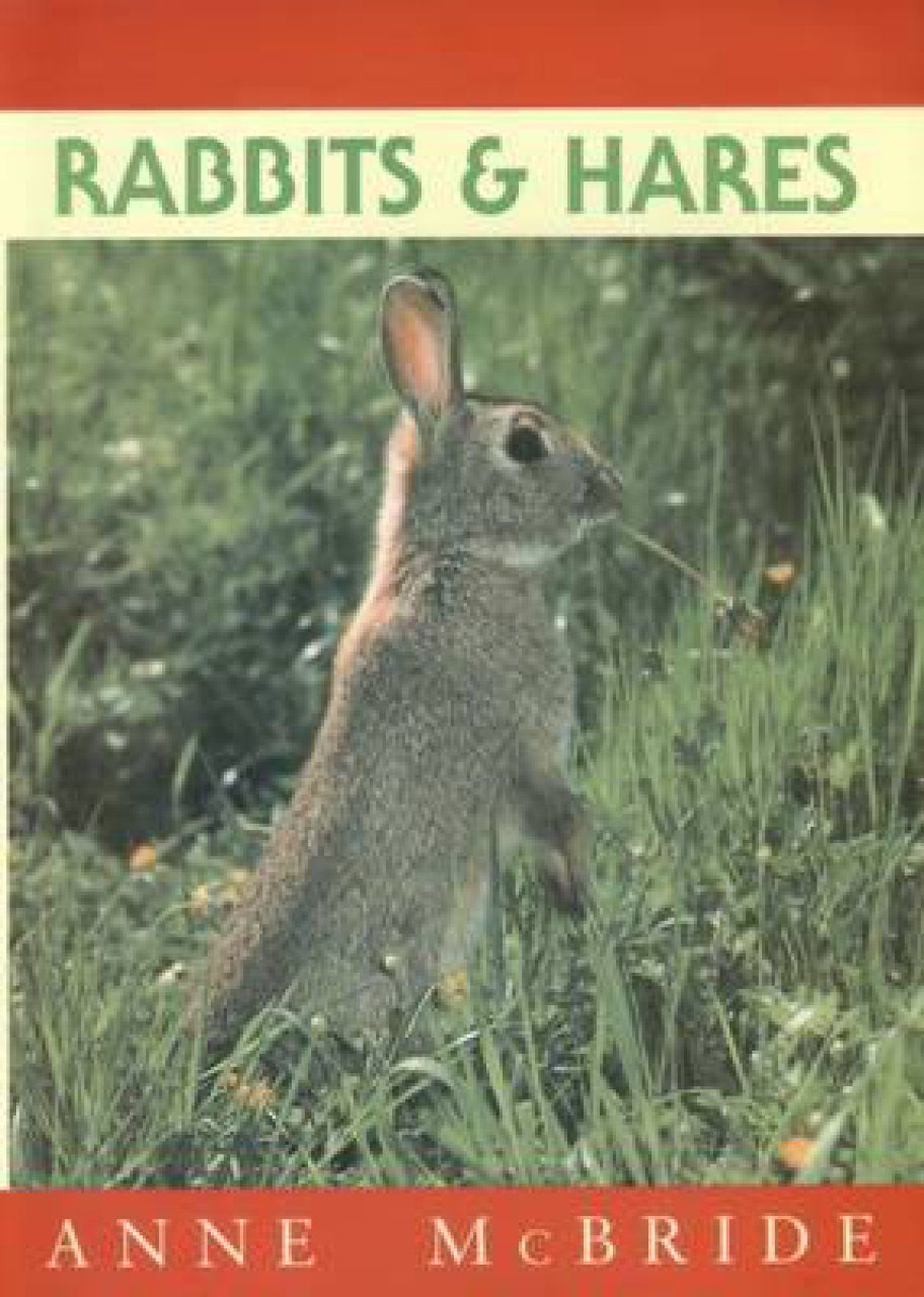 Rabbits and Hares | NHBS Academic & Professional Books