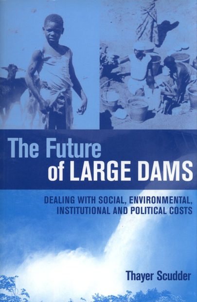 The Future of Large Dams