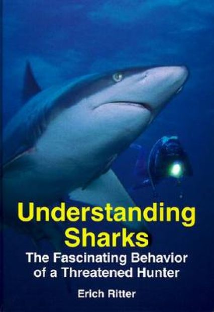 Understanding Sharks