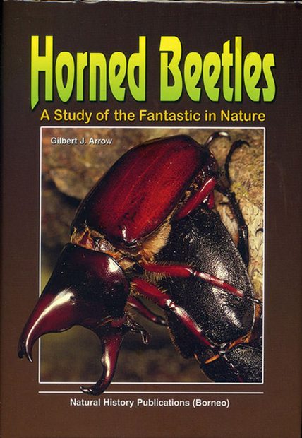 Horned Beetles