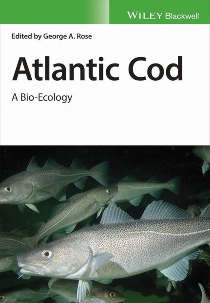 Atlantic Cod