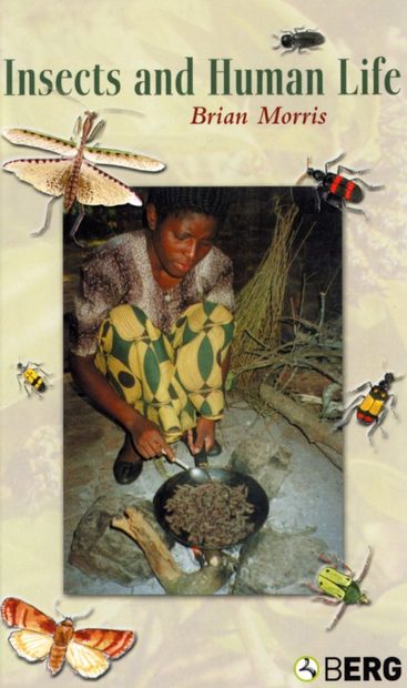 Insects and Human Life