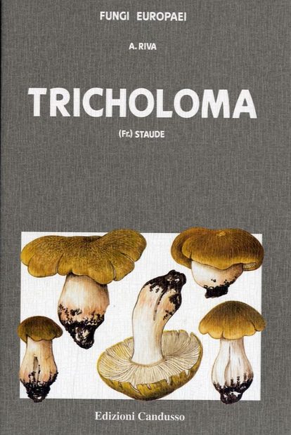 Fungi Europaei, Volume 3: Tricholoma [Italian]