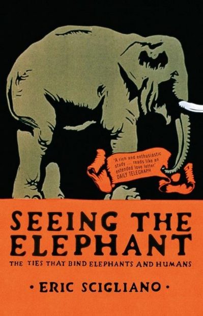 Seeing the Elephant