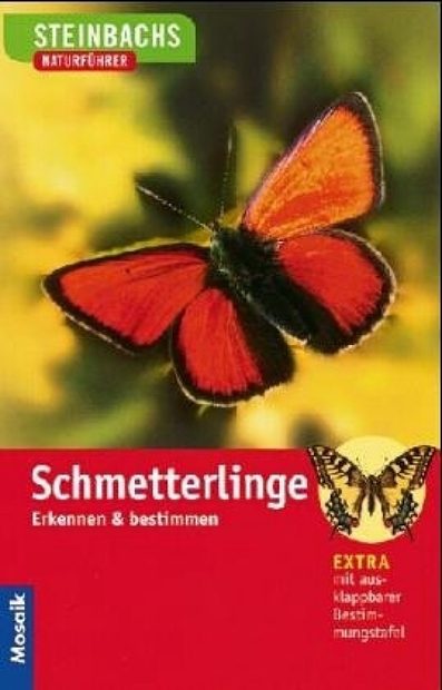 Schmetterlinge Erkennen und Bestimmen | NHBS Academic & Professional Books