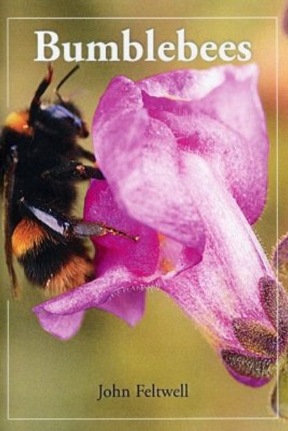 Bumblebees