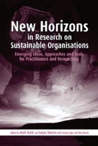 New Horizons in Research on Sustainable Organisations