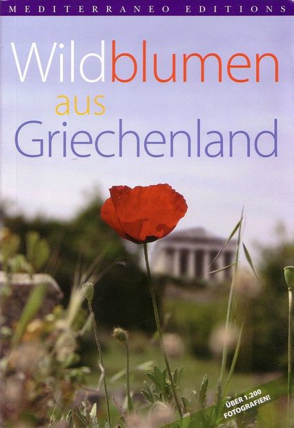 Wildblumen aus Griechenland