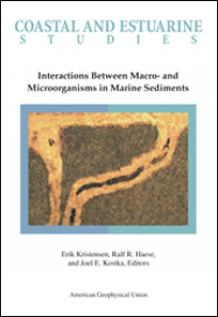 Interactions Between Macro- and Microorganisms in Marine Sediments