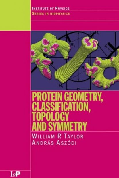 Protein Geometry, Classification, Topology and Symmetry