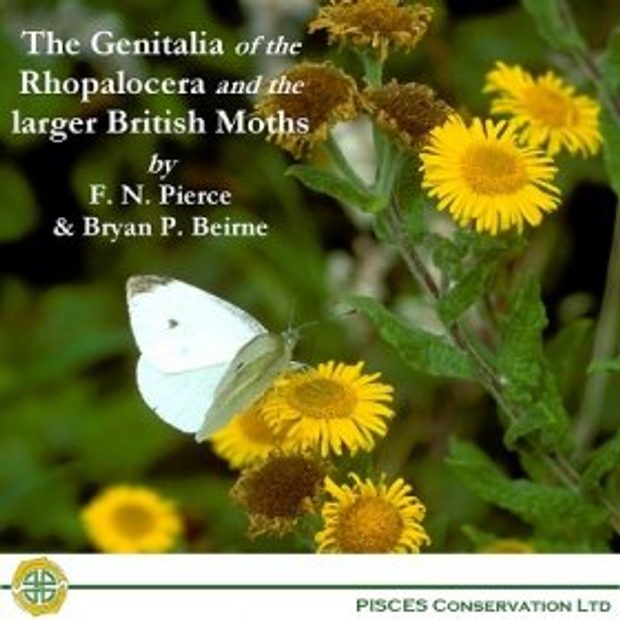 The Genitalia of the Rhopalocera and Larger British Moths