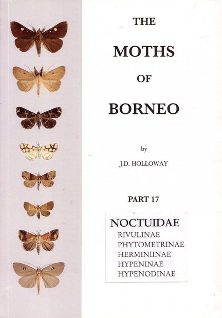 The Moths of Borneo, Part 17