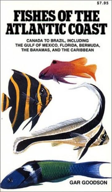 Fishes of the Atlantic Coast