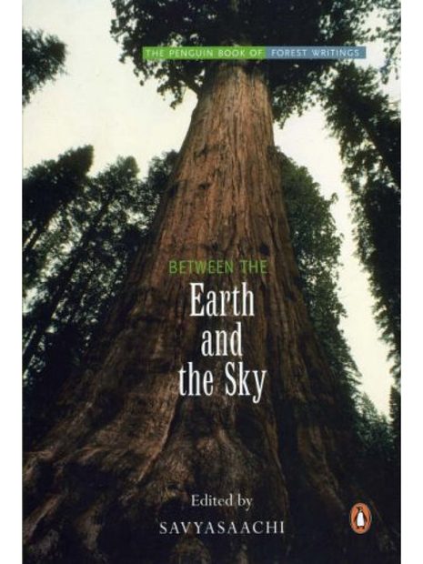 Between the Earth and the Sky