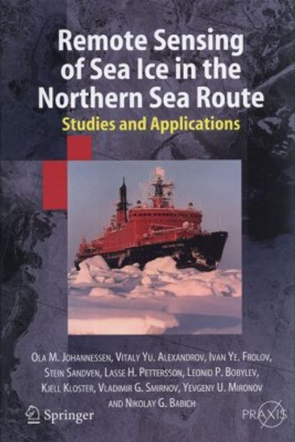 Remote Sensing of Sea Ice in the Northern Sea Route