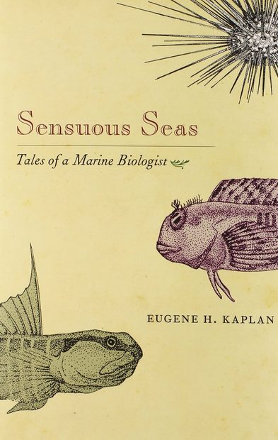 Sensuous Seas