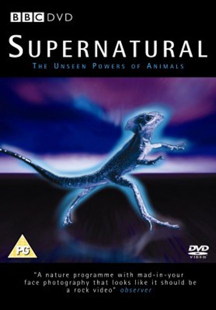 Supernatural - DVD (Region 2)