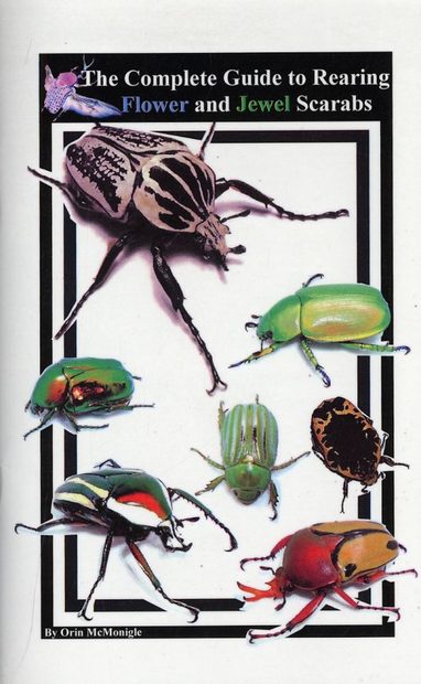 The Complete Guide to Rearing Flower and Jewel Scarabs