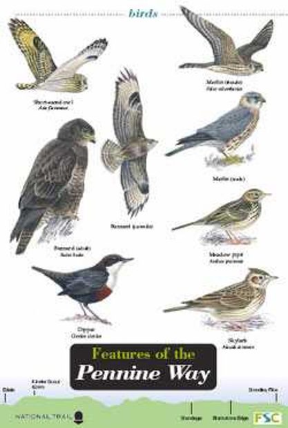 Features of the Pennine Way