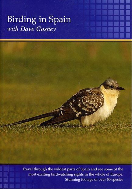 Birding in Spain (Region 2)