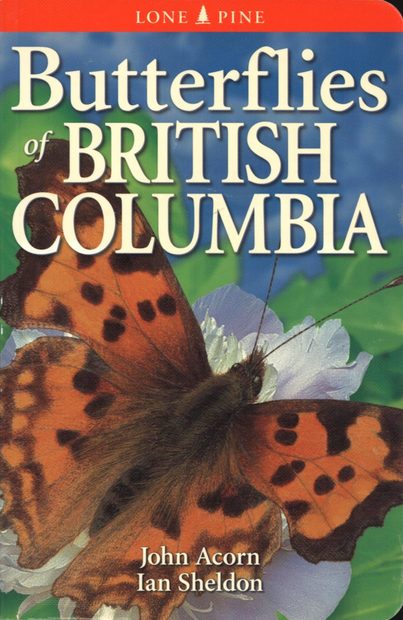 Butterflies of British Columbia