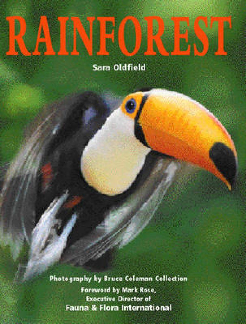 Rainforest | NHBS Academic & Professional Books