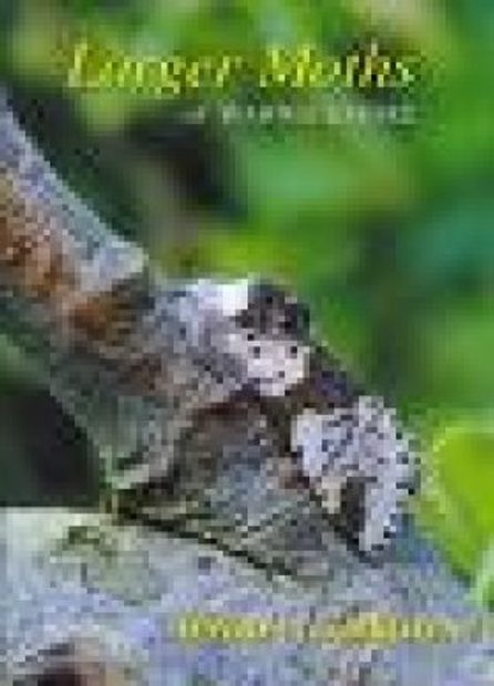 The Larger Moths of Warwickshire